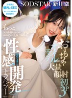 おもちゃ・大量顔射・初3P・オイルエステ もっと気持ち良くなるために初めての一人旅 3泊4日の性感開発トラベラー 新川空