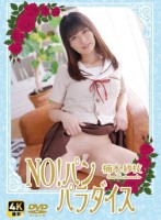 楠本紗枝/NO!パン　パラダイス